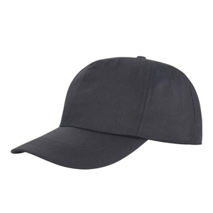 Lion Baseball Cap