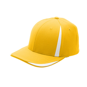 Team Pro-Formance Cap
